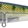River2Sea ICBM 120 Hard Stickbait/Glidebait