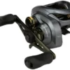 Shimano Curado DC 200 Baitcasting Reel