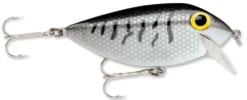 Storm Original Thinfin 08 Shallow-Medium Diving Crankbait