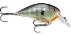 Rapala DT Series Crankbait DT4