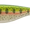 Westin ShadTeez 4 3/4 Inch Soft Paddle Tail Swimbait 2 Pack